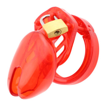 Jaula de Castidad CB6000s