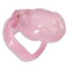 Jaula de Castidad Holy Trainer Small Rosa