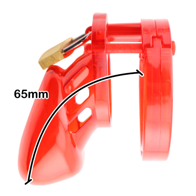 Jaula de Castidad CB6000s