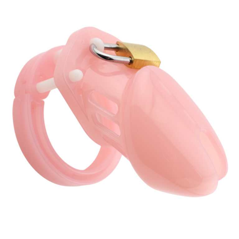 Jaula de Castidad CB6000s