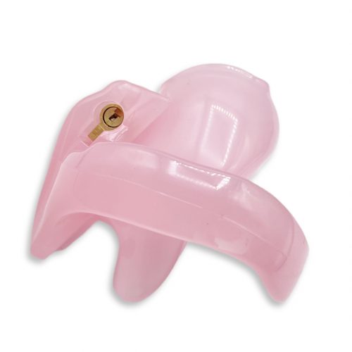 Jaula de Castidad Holy Trainer The Nub