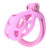 Jaula de Castidad Cobra Snake Pink Nano